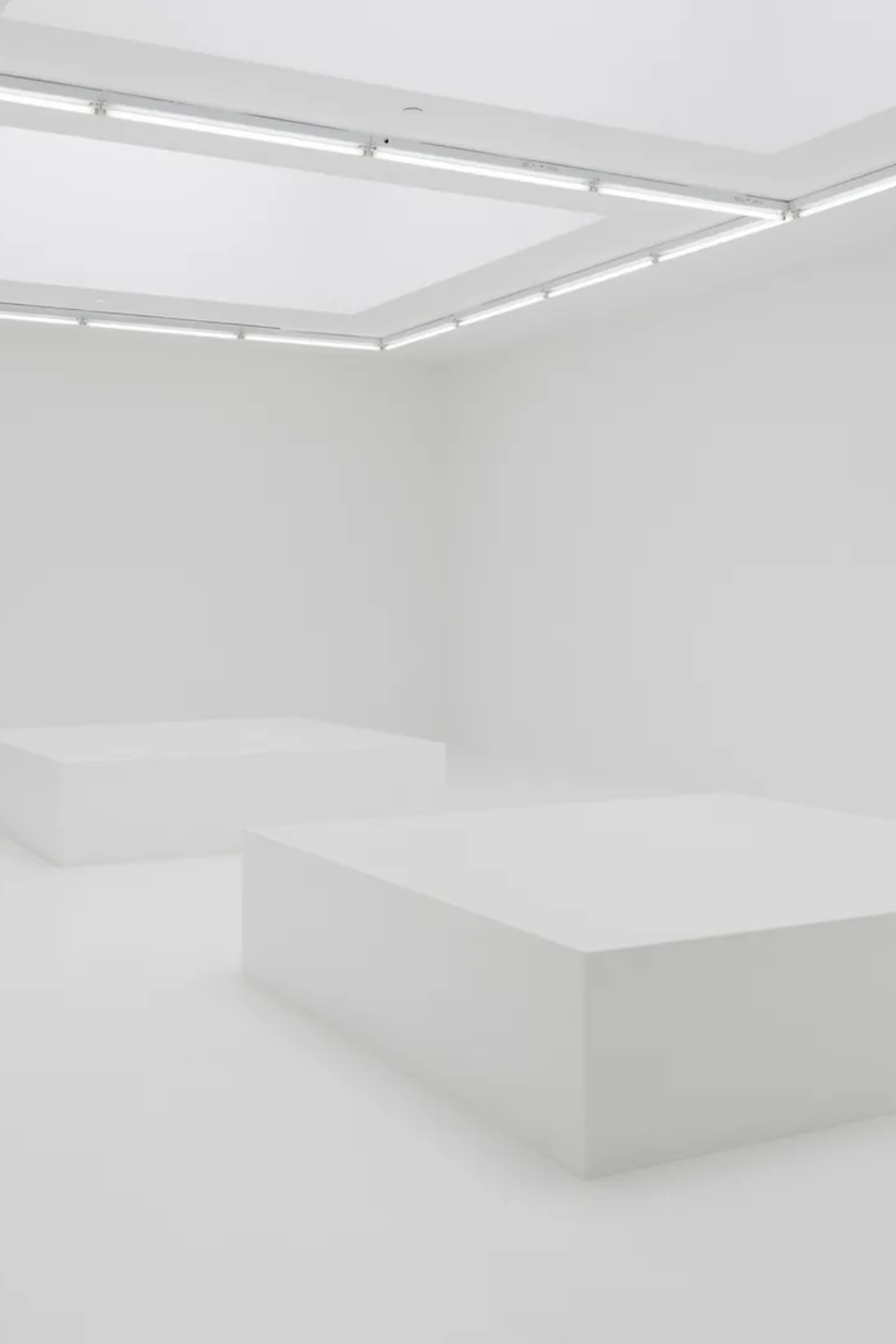 whiteout-1.webp